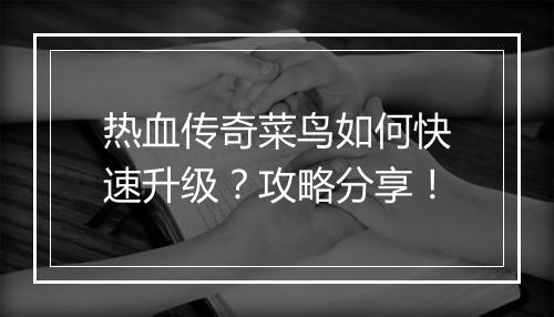 热血传奇菜鸟如何快速升级？攻略分享！