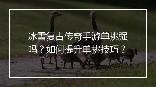 冰雪复古传奇手游单挑强吗？如何提升单挑技巧？