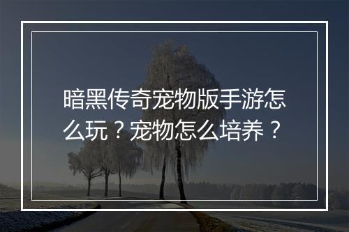 暗黑传奇宠物版手游怎么玩？宠物怎么培养？