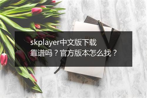 skplayer中文版下载靠谱吗？官方版本怎么找？