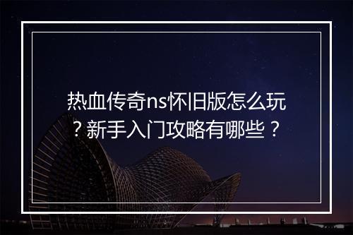 热血传奇ns怀旧版怎么玩？新手入门攻略有哪些？