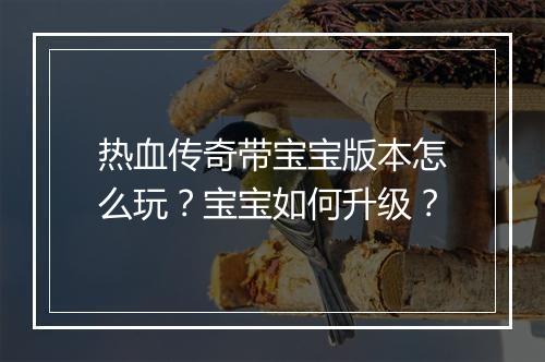 热血传奇带宝宝版本怎么玩？宝宝如何升级？