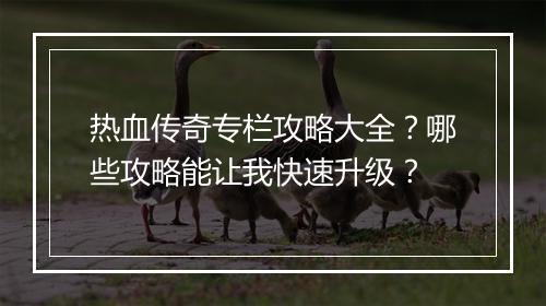 热血传奇专栏攻略大全？哪些攻略能让我快速升级？