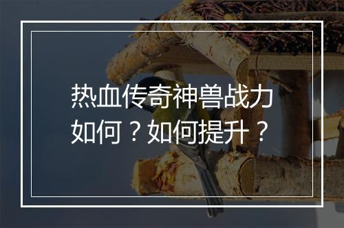 热血传奇神兽战力如何？如何提升？