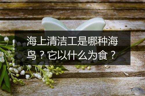 海上清洁工是哪种海鸟？它以什么为食？