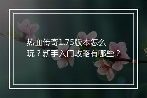 热血传奇1.75版本怎么玩？新手入门攻略有哪些？