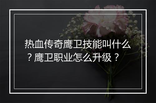 热血传奇鹰卫技能叫什么？鹰卫职业怎么升级？