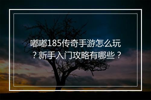 嘟嘟185传奇手游怎么玩？新手入门攻略有哪些？