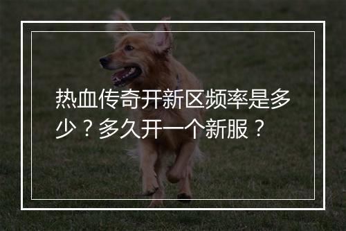 热血传奇开新区频率是多少？多久开一个新服？