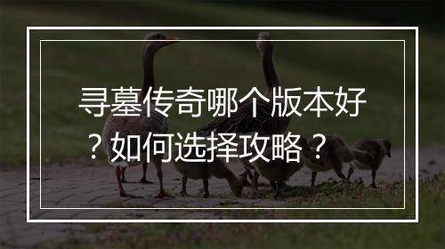 寻墓传奇哪个版本好？如何选择攻略？
