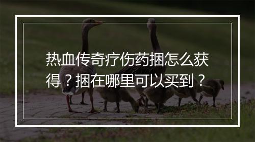 热血传奇疗伤药捆怎么获得？捆在哪里可以买到？