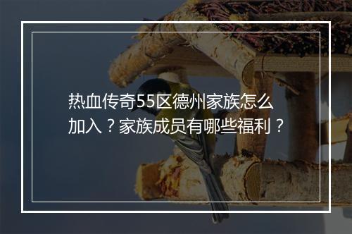 热血传奇55区德州家族怎么加入？家族成员有哪些福利？
