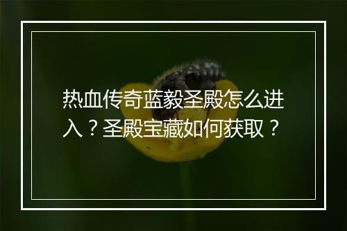 热血传奇蓝毅圣殿怎么进入？圣殿宝藏如何获取？
