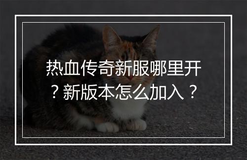 热血传奇新服哪里开？新版本怎么加入？
