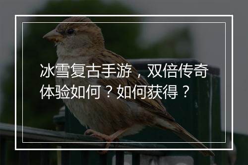 冰雪复古手游，双倍传奇体验如何？如何获得？