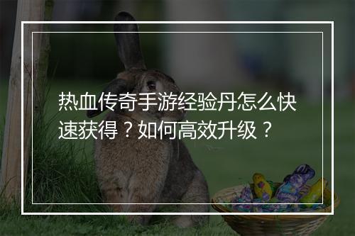 热血传奇手游经验丹怎么快速获得？如何高效升级？