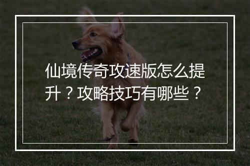 仙境传奇攻速版怎么提升？攻略技巧有哪些？