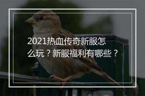 2021热血传奇新服怎么玩？新服福利有哪些？