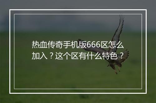 热血传奇手机版666区怎么加入？这个区有什么特色？
