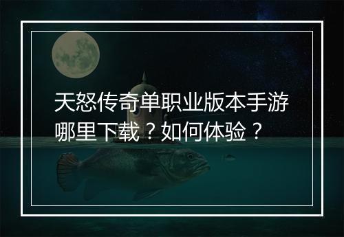 天怒传奇单职业版本手游哪里下载？如何体验？