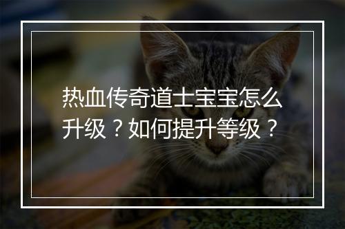热血传奇道士宝宝怎么升级？如何提升等级？