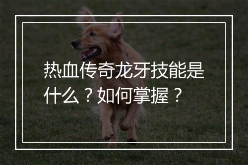热血传奇龙牙技能是什么？如何掌握？