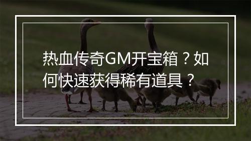 热血传奇GM开宝箱？如何快速获得稀有道具？