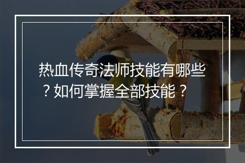 热血传奇法师技能有哪些？如何掌握全部技能？