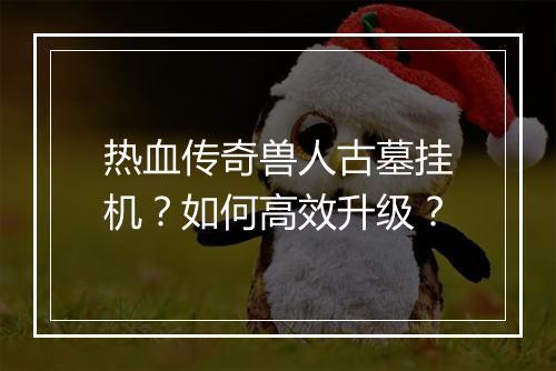 热血传奇兽人古墓挂机？如何高效升级？