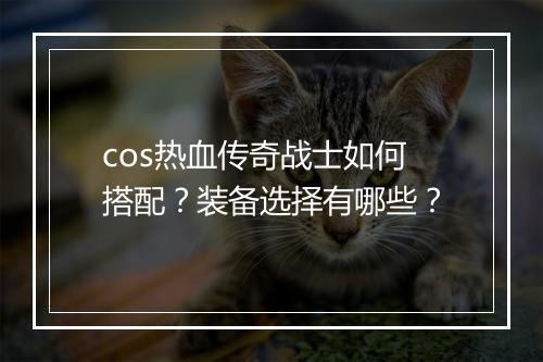 cos热血传奇战士如何搭配？装备选择有哪些？