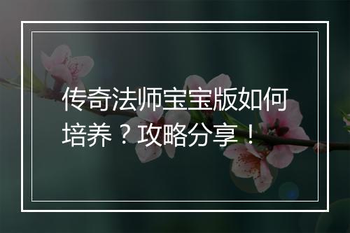 传奇法师宝宝版如何培养？攻略分享！