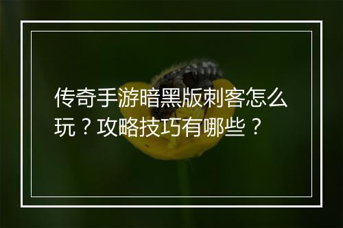 传奇手游暗黑版刺客怎么玩？攻略技巧有哪些？