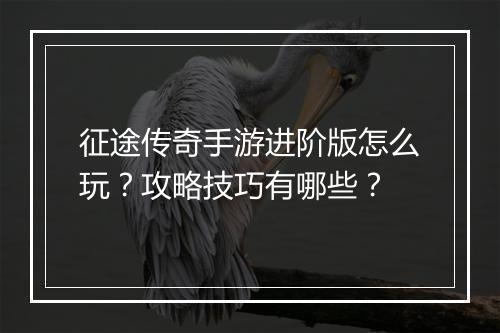 征途传奇手游进阶版怎么玩？攻略技巧有哪些？