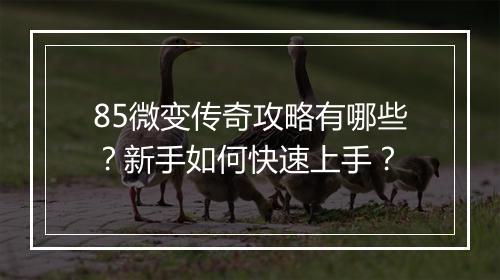 85微变传奇攻略有哪些？新手如何快速上手？