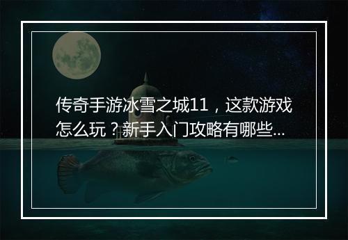 传奇手游冰雪之城11，这款游戏怎么玩？新手入门攻略有哪些？