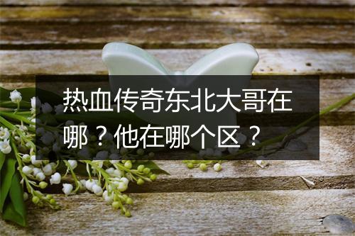 热血传奇东北大哥在哪？他在哪个区？