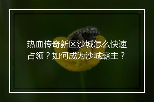 热血传奇新区沙城怎么快速占领？如何成为沙城霸主？