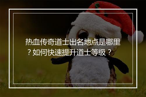 热血传奇道士出名地点是哪里？如何快速提升道士等级？