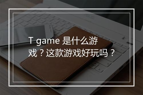 T game 是什么游戏？这款游戏好玩吗？