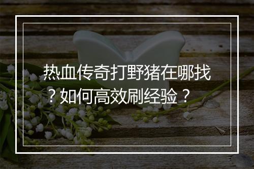 热血传奇打野猪在哪找？如何高效刷经验？