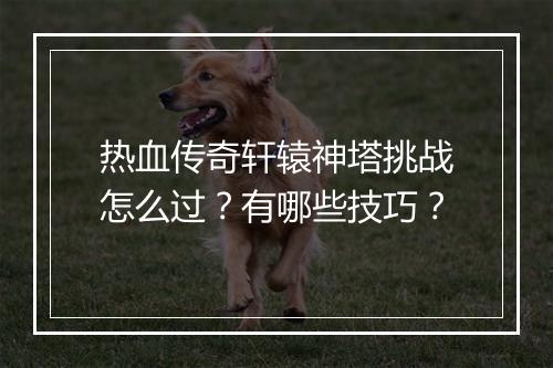 热血传奇轩辕神塔挑战怎么过？有哪些技巧？
