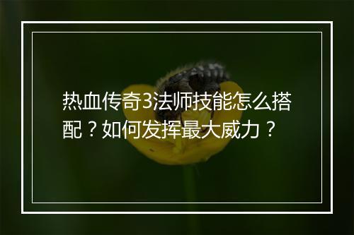 热血传奇3法师技能怎么搭配？如何发挥最大威力？