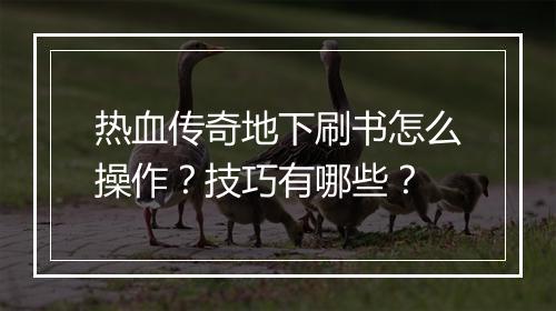 热血传奇地下刷书怎么操作？技巧有哪些？