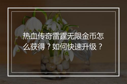 热血传奇雷霆无限金币怎么获得？如何快速升级？