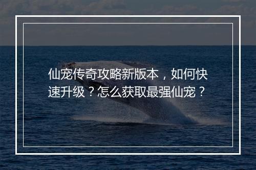 仙宠传奇攻略新版本，如何快速升级？怎么获取最强仙宠？