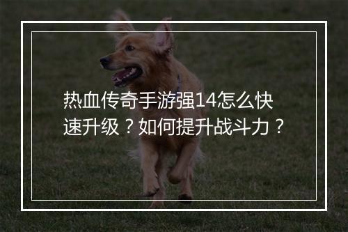 热血传奇手游强14怎么快速升级？如何提升战斗力？