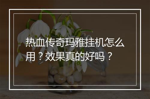 热血传奇玛雅挂机怎么用？效果真的好吗？