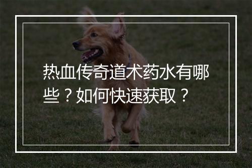 热血传奇道术药水有哪些？如何快速获取？