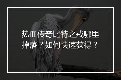 热血传奇比特之戒哪里掉落？如何快速获得？
