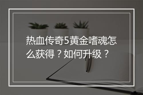 热血传奇5黄金嗜魂怎么获得？如何升级？